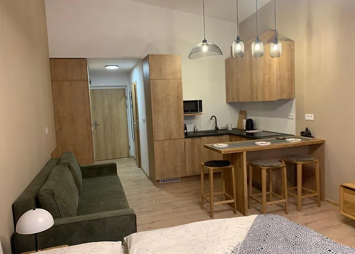 Apartment Comfort With Parking - Tale